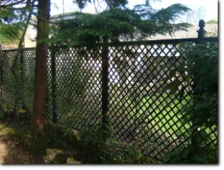 Trellis_54