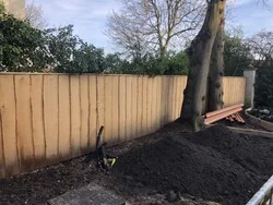 Waney Edge Fence